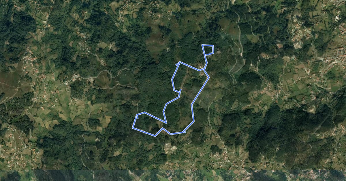Маршрут Trilho da Mata do Castelo на спутниковом снимке