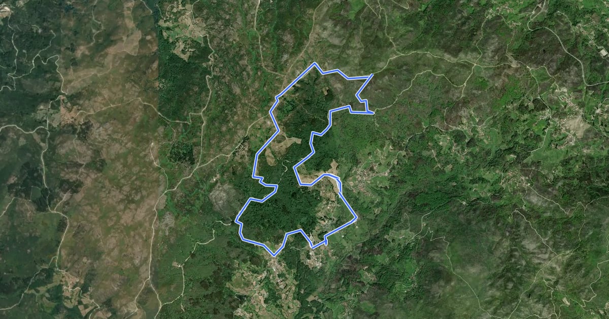 Маршрут Trilho das Florestas Naturais на спутниковом снимке