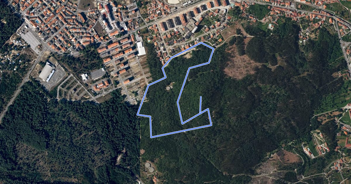 Маршрут Trilho do Monte Galeão на спутниковом снимке
