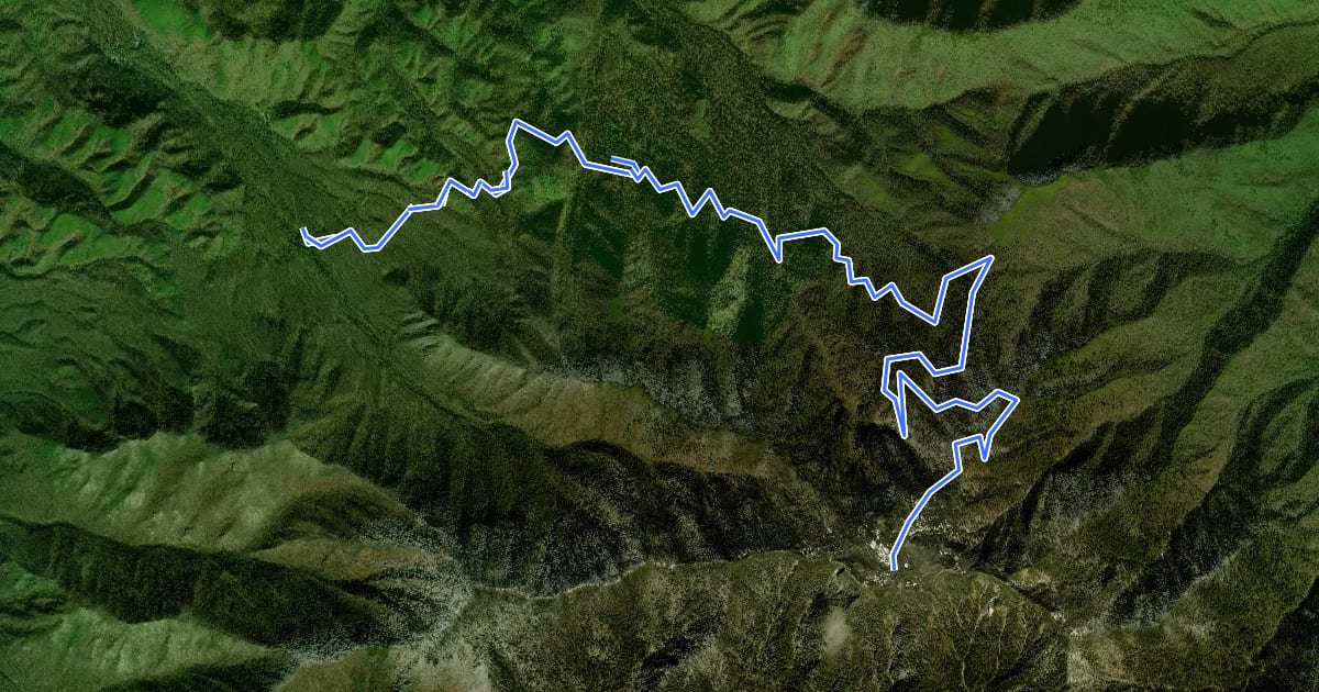 Маршрут Trillium Gap Trail на спутниковом снимке