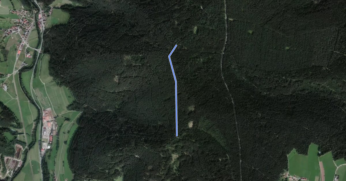 Маршрут Trischelwald - Zwerenberg на спутниковом снимке