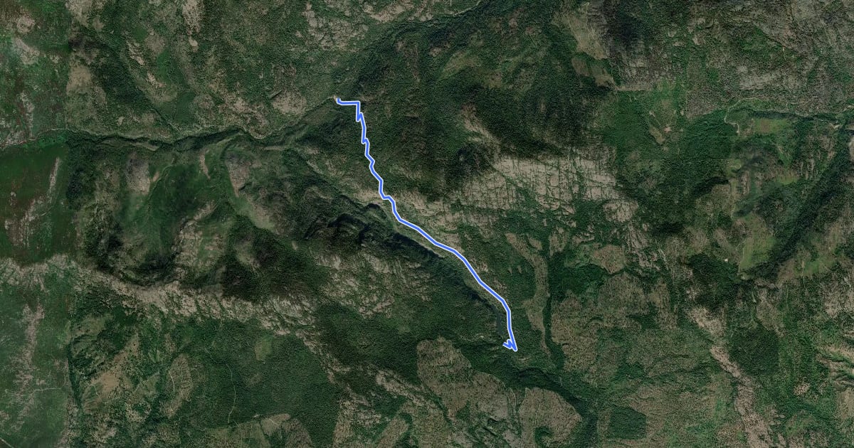 Маршрут Trout Lake Trail #17 на спутниковом снимке