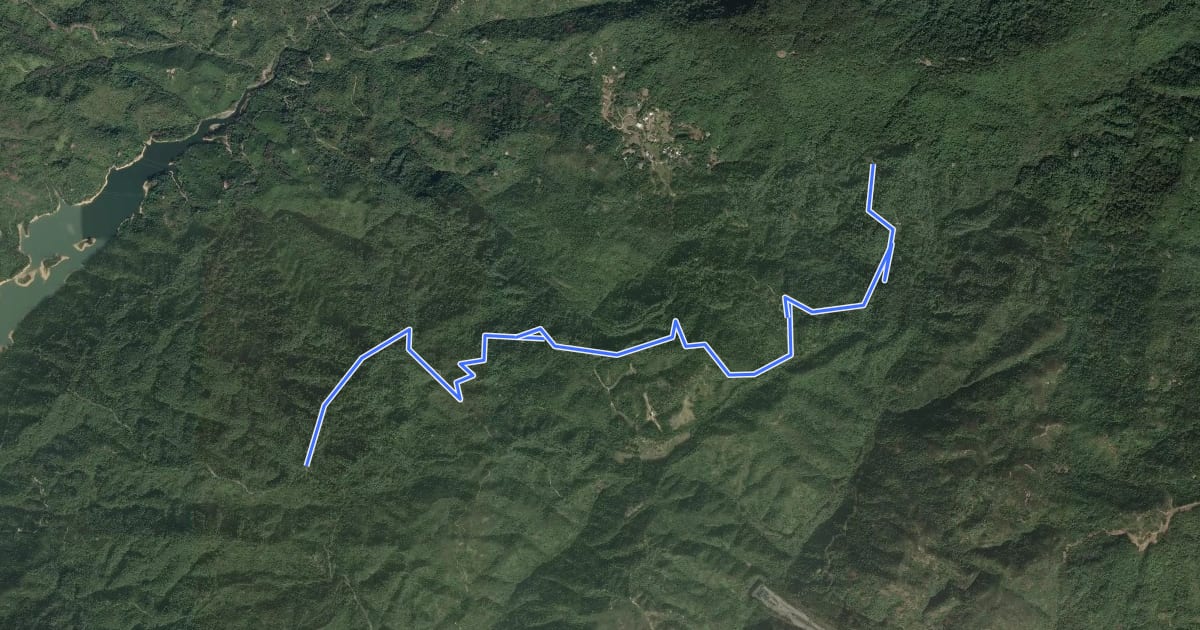 Маршрут Tsing Fai Tong section на спутниковом снимке