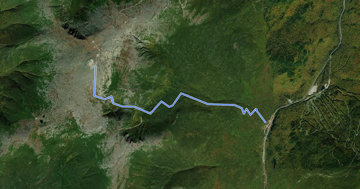 Маршрут Tuckerman Ravine Trail на спутниковом снимке