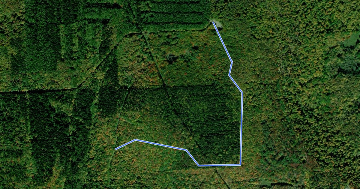 Маршрут Tuller Hill - Green 4 на спутниковом снимке