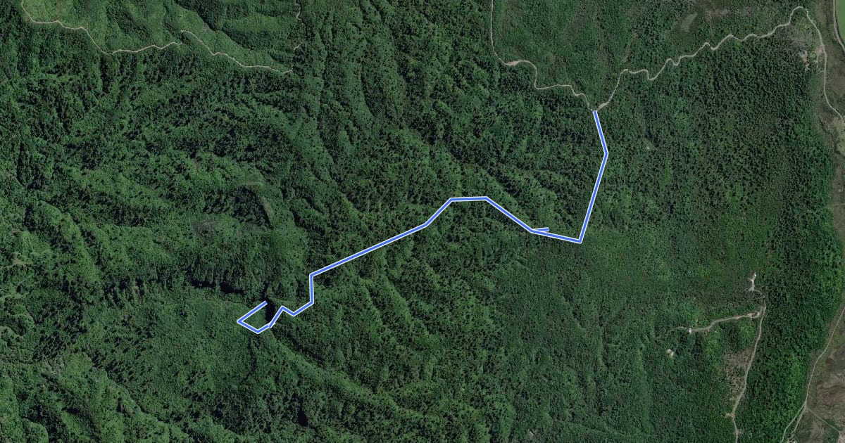 Маршрут Tupapakurua Falls Track на спутниковом снимке
