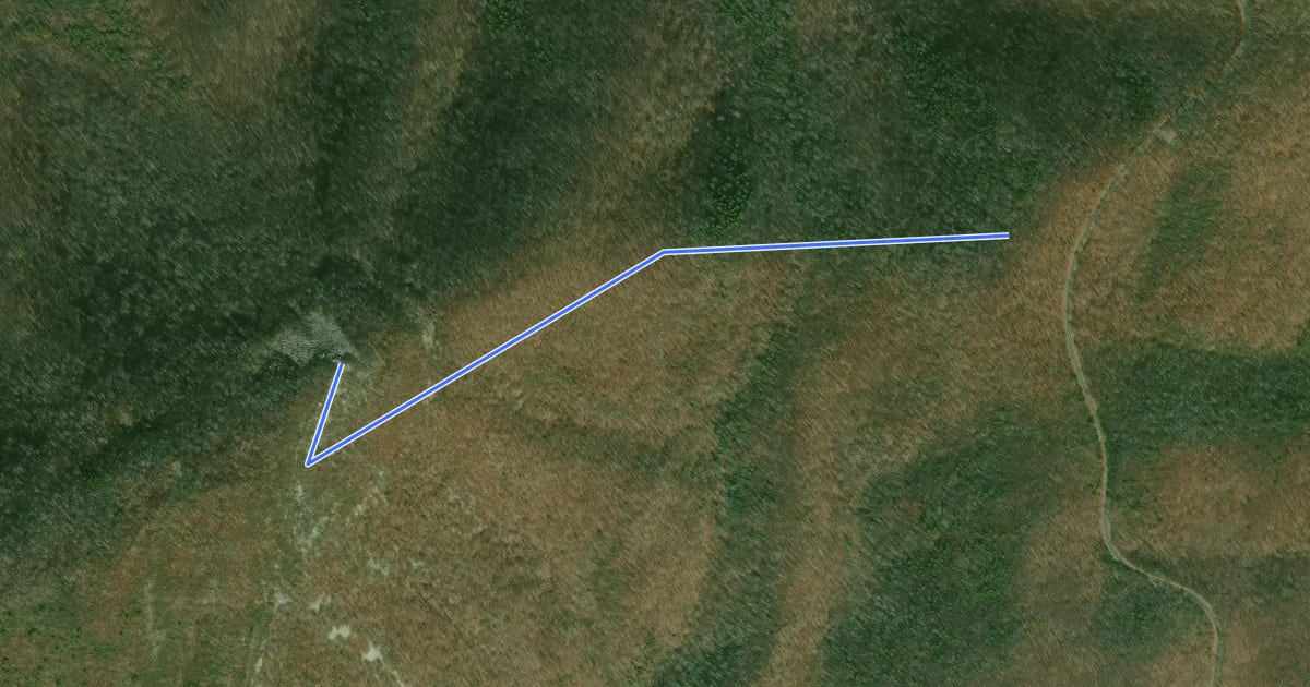 Маршрут Turk Mountain Trail на спутниковом снимке