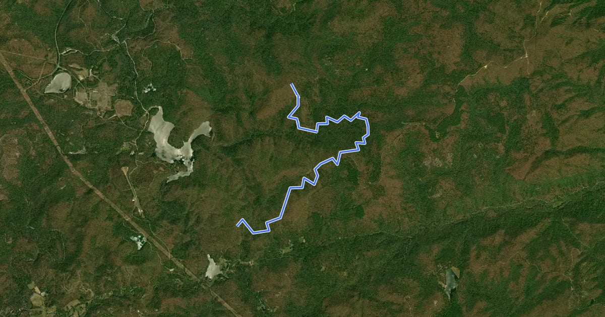 Маршрут Turkey Knob Trail на спутниковом снимке