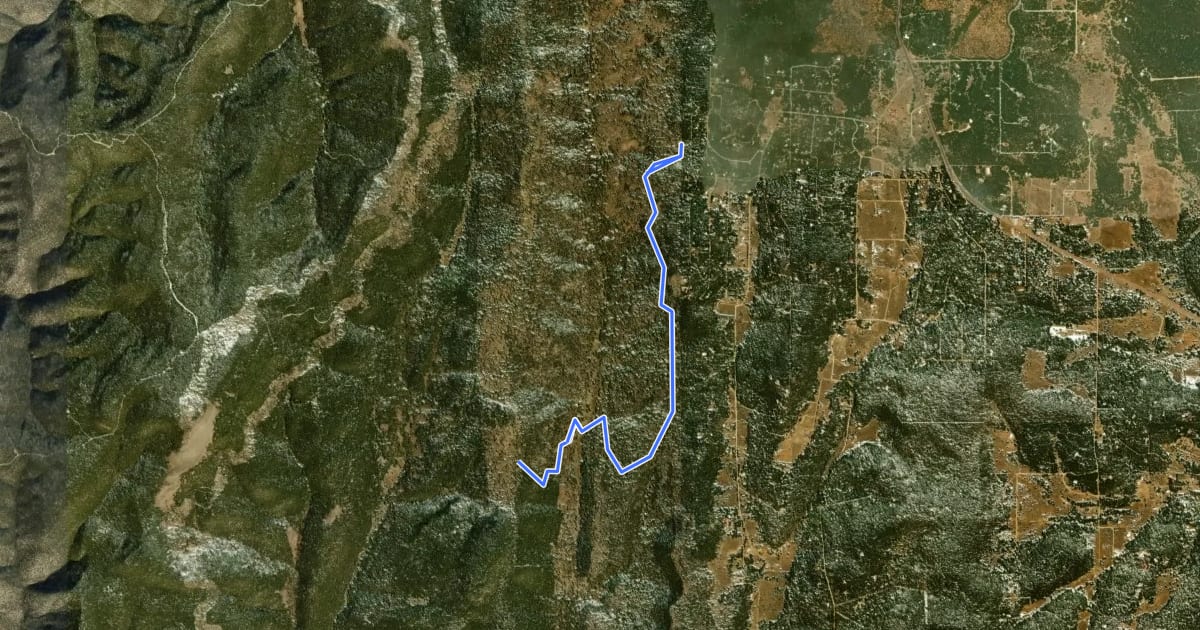 Маршрут Turkey Trot Trail на спутниковом снимке
