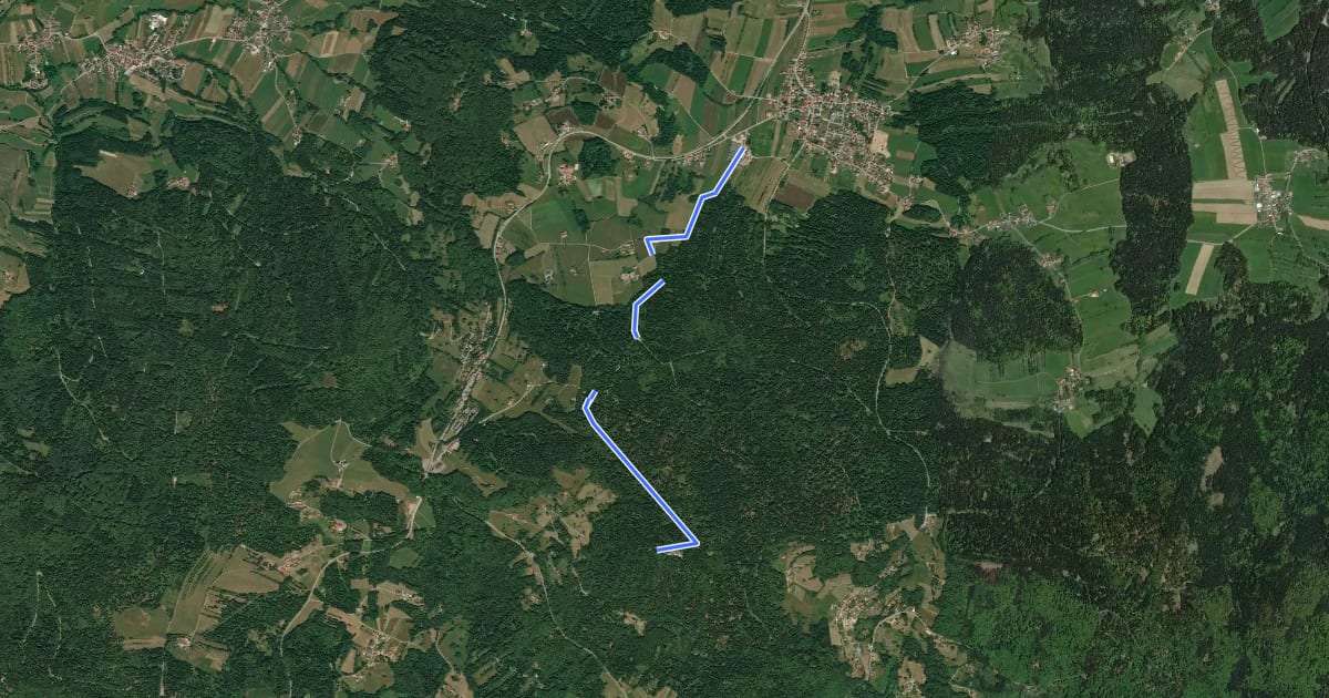 Маршрут Turmweg (Mitterdorf / Schöfweg) на спутниковом снимке