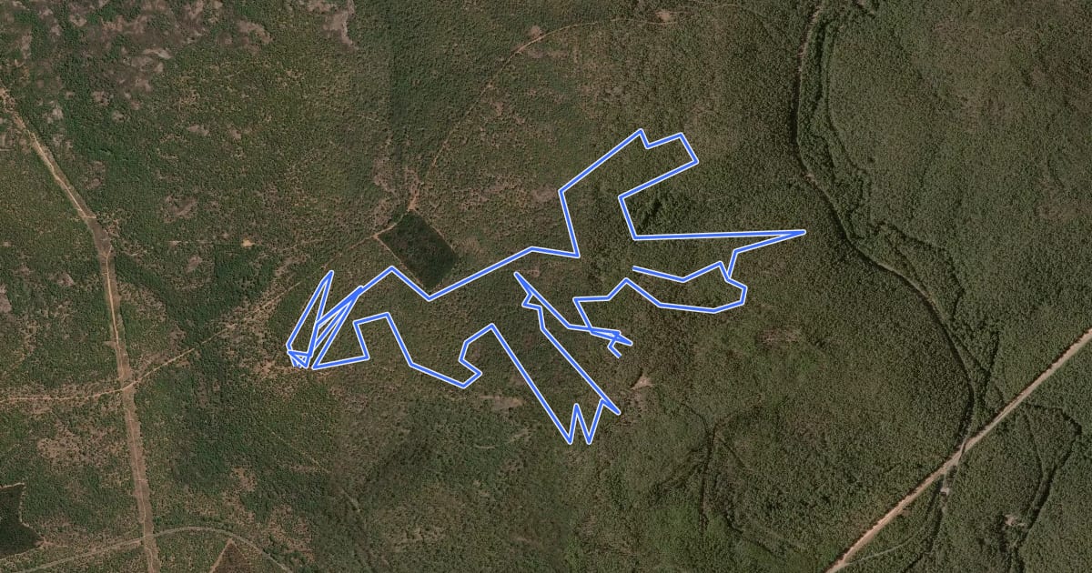 Маршрут Turner Hill trail на спутниковом снимке