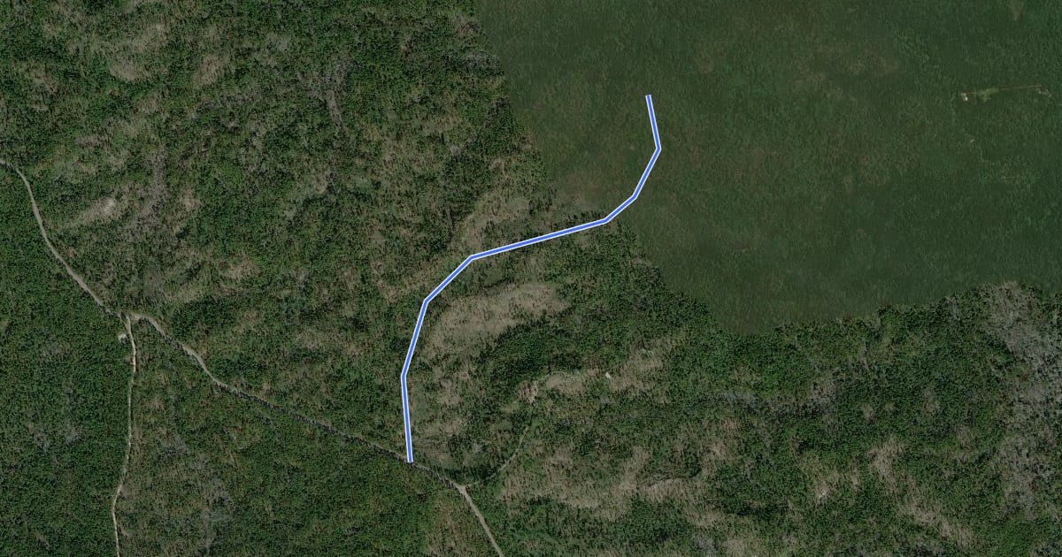 Маршрут Turpentine Hill Trail на спутниковом снимке
