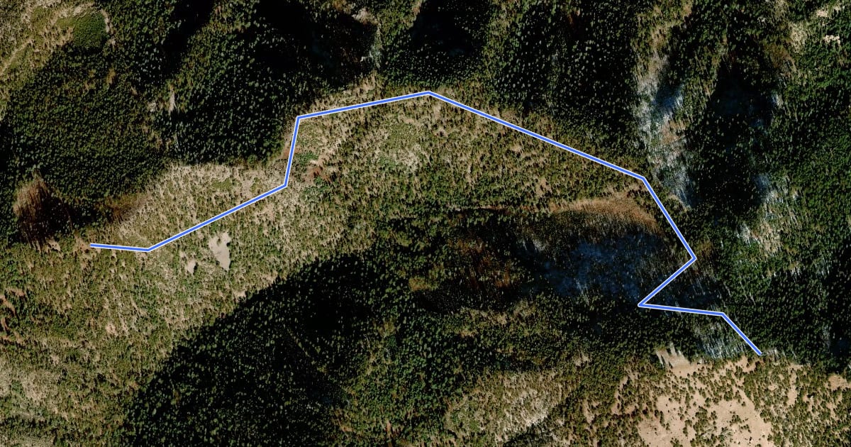 Маршрут Turtle Mountain Trail #219 на спутниковом снимке