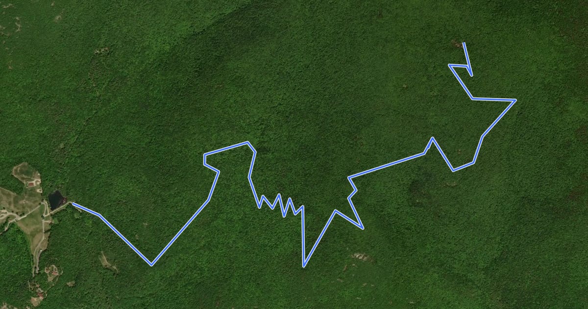 Маршрут Turtleback Mountain Trail на спутниковом снимке