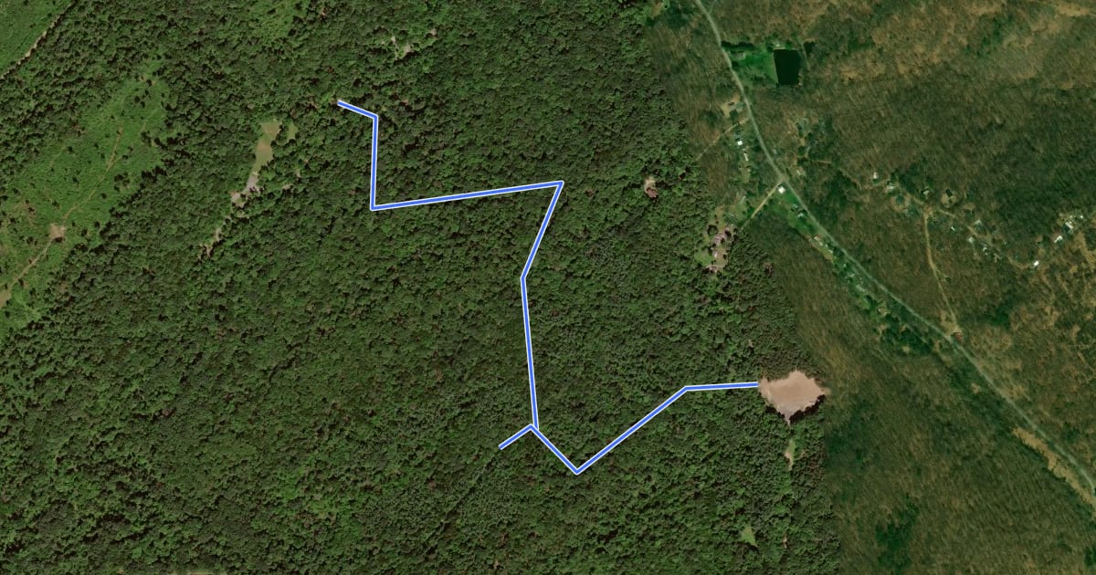 Маршрут Tuscarora - Beaston Trail на спутниковом снимке