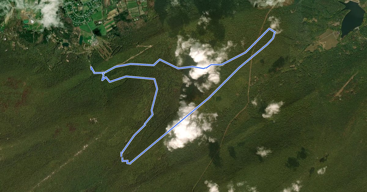 Маршрут Tussey Mountain Trail Coathanger Loop на спутниковом снимке