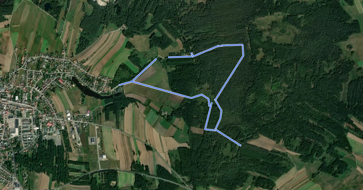 Маршрут tut gut Route 1 на спутниковом снимке