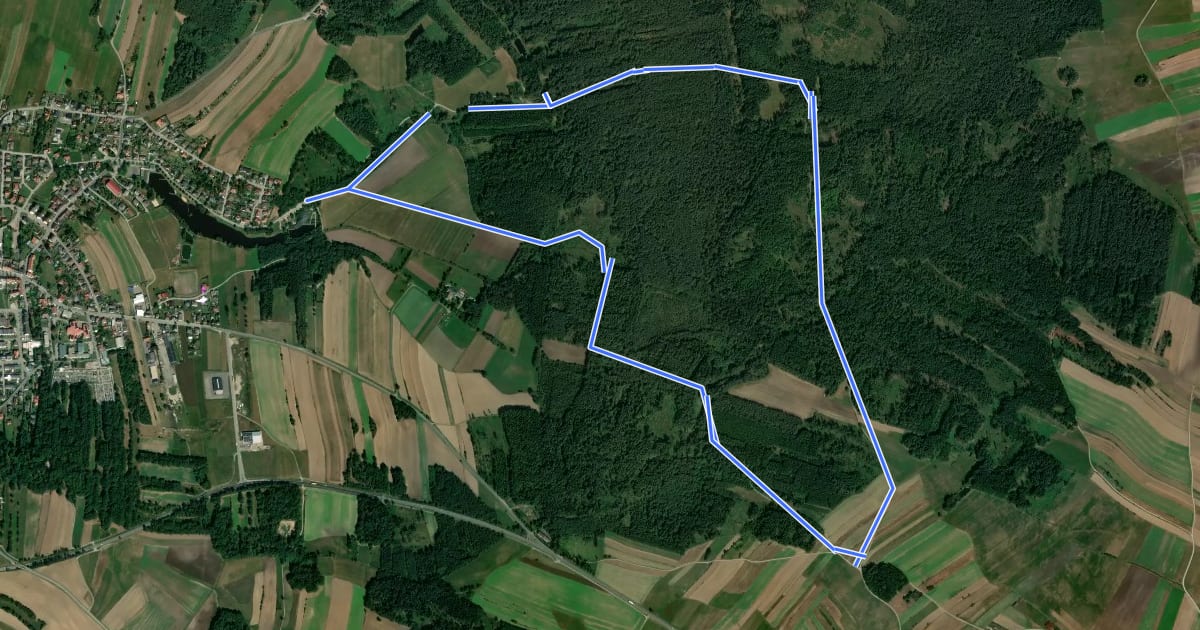 Маршрут tut gut Route 2 на спутниковом снимке