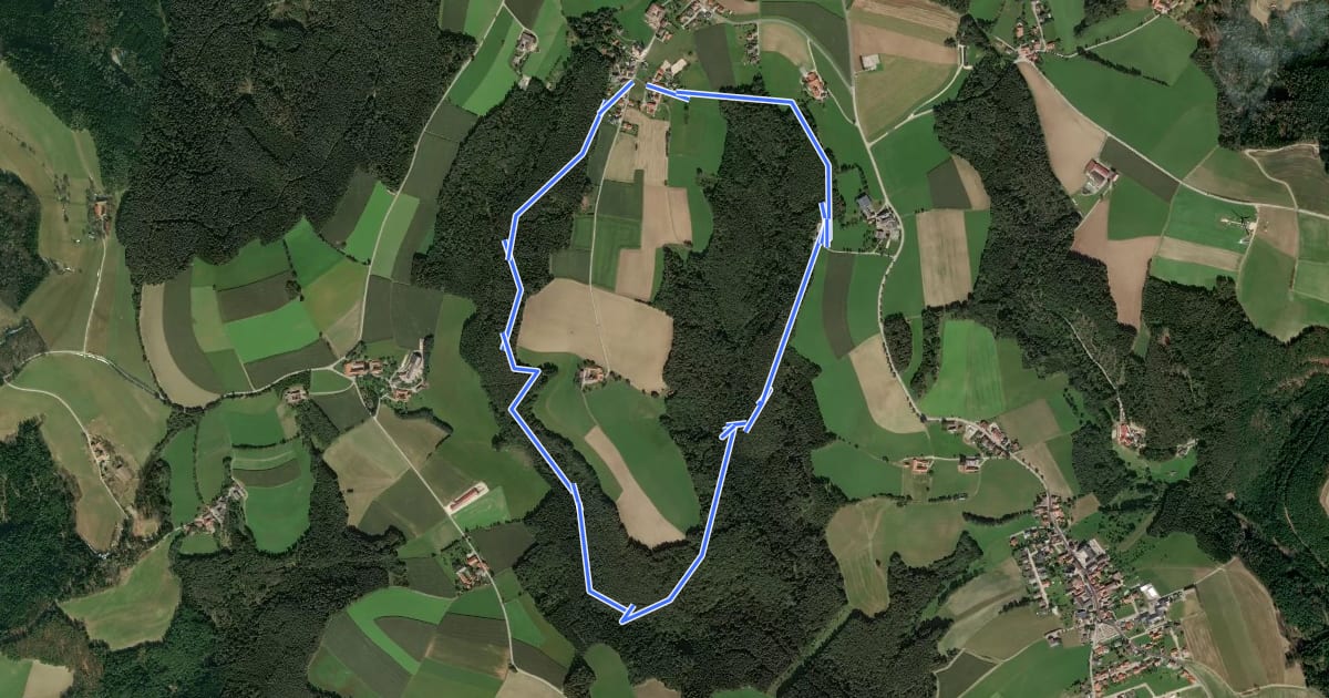 Маршрут tut-gut-Wanderweg Kaltenberg Runde 1 на спутниковом снимке
