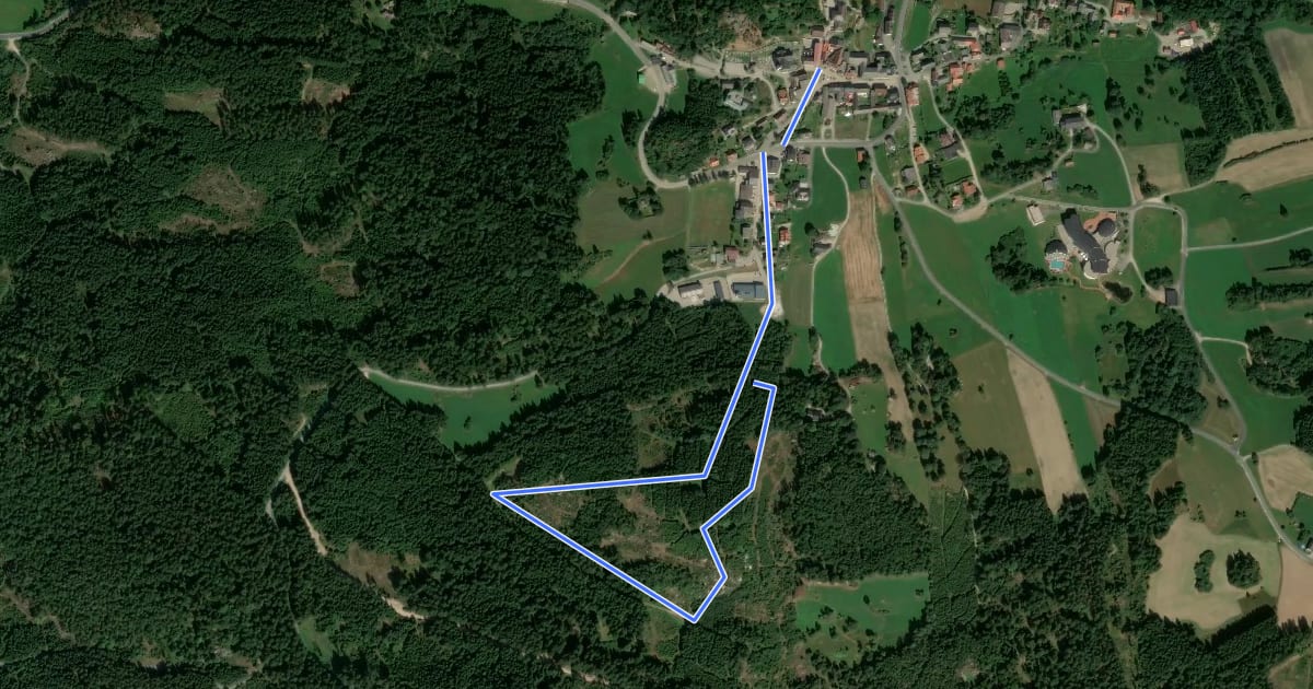 Маршрут tutgut Route 1 – Wolfsgrub – Bad Traunstein на спутниковом снимке