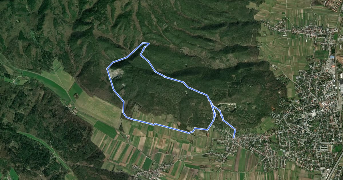 Маршрут TVN Rundwanderweg Vöslauer Hütte на спутниковом снимке
