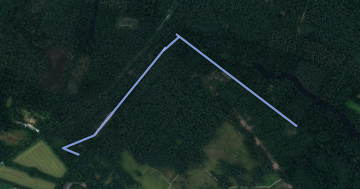 Маршрут TVP 14 Alternatieve route met hond на спутниковом снимке