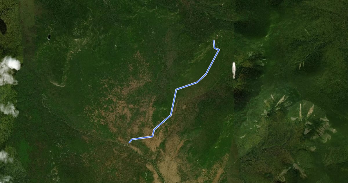 Маршрут Twin Brook Trail на спутниковом снимке