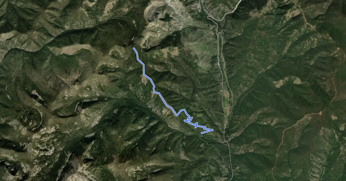 Маршрут Twin Creek Ridge Trail на спутниковом снимке