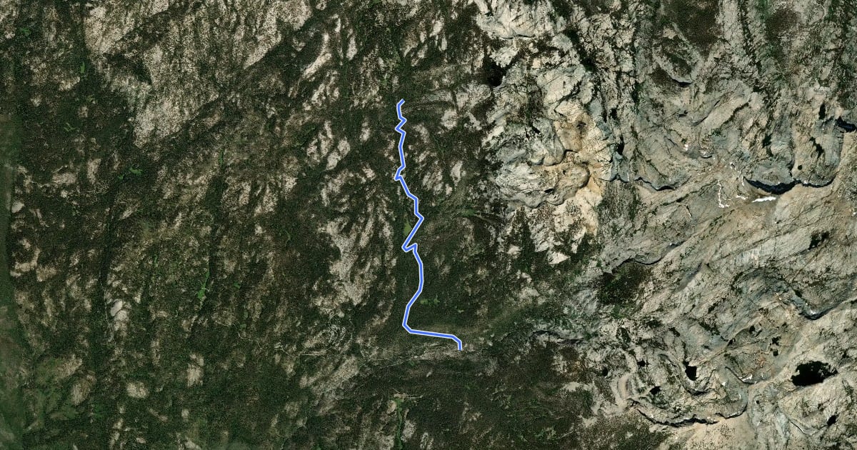 Маршрут Twin Lakes Trail на спутниковом снимке