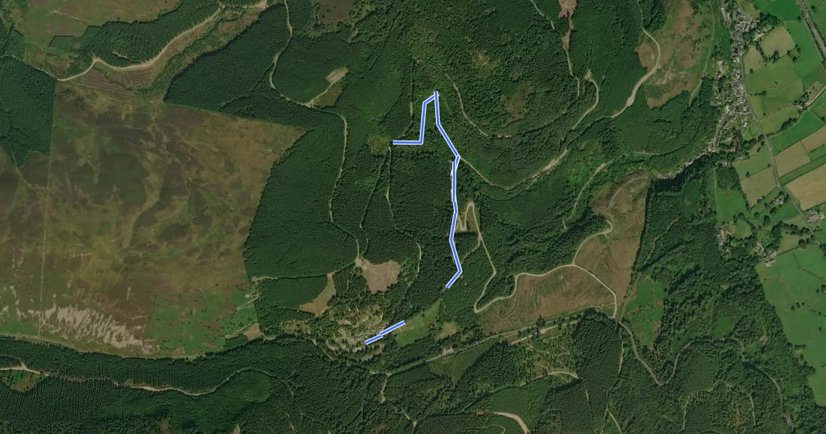 Маршрут Two Gills Trail на спутниковом снимке