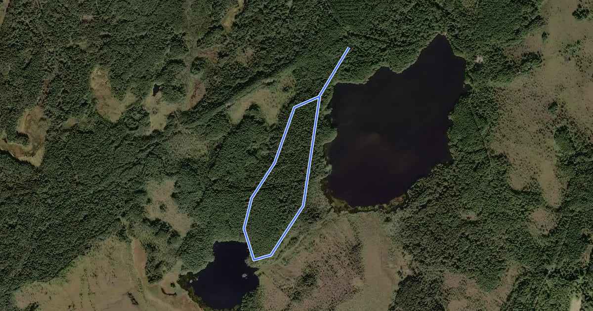 Маршрут Two Lochs trail на спутниковом снимке