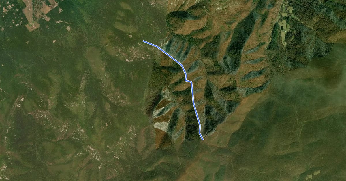Маршрут Twomile Ridge Trail на спутниковом снимке