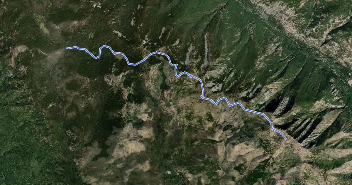Маршрут Tyee Ridge Trail на спутниковом снимке