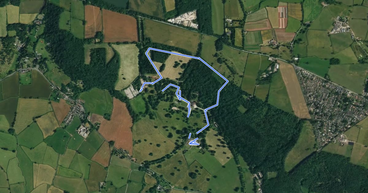 Маршрут Tyntesfield Woodland Walk (Long Route), Tyntesfield на спутниковом снимке