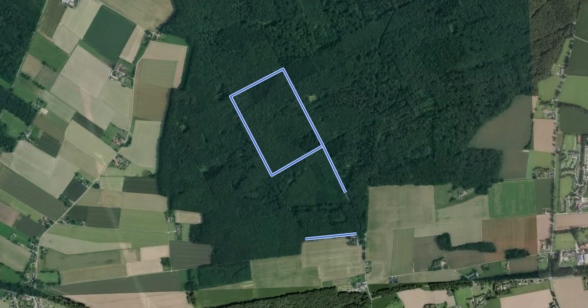 Маршрут Uedemer Hochwald - Rundwanderweg Dreieck на спутниковом снимке