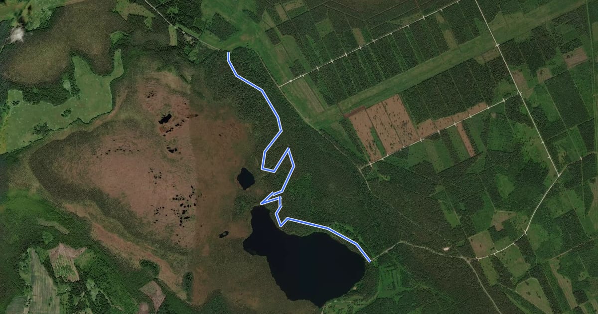 Маршрут Uljaste matkarada на спутниковом снимке