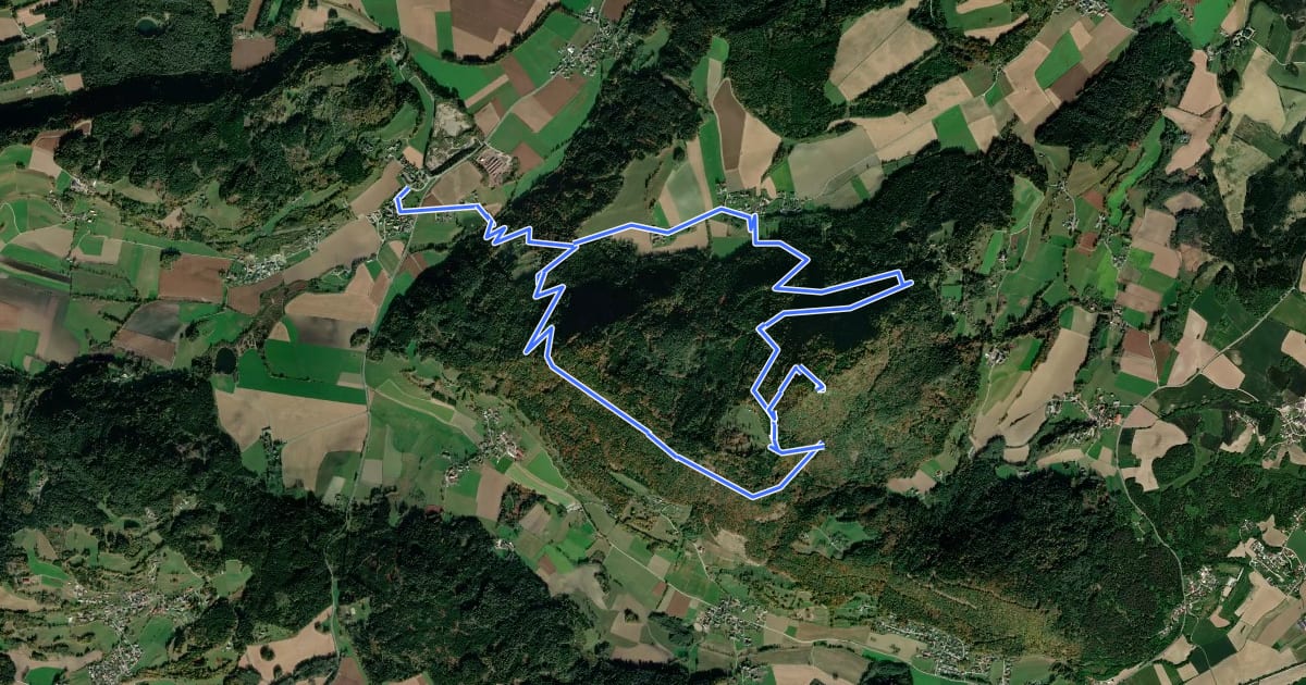 Маршрут Ulrichsberg-Gedächtniswanderung на спутниковом снимке