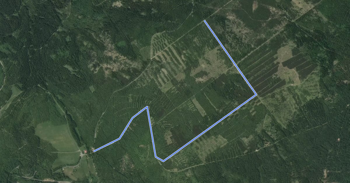 Маршрут um den Pramenáč (Bornhauberg) на спутниковом снимке