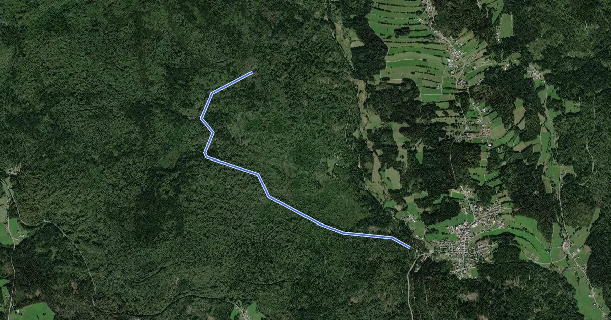 Маршрут Umleitungsstrecke für Wildschutzgebiet um die Steinbachklause. на спутниковом снимке