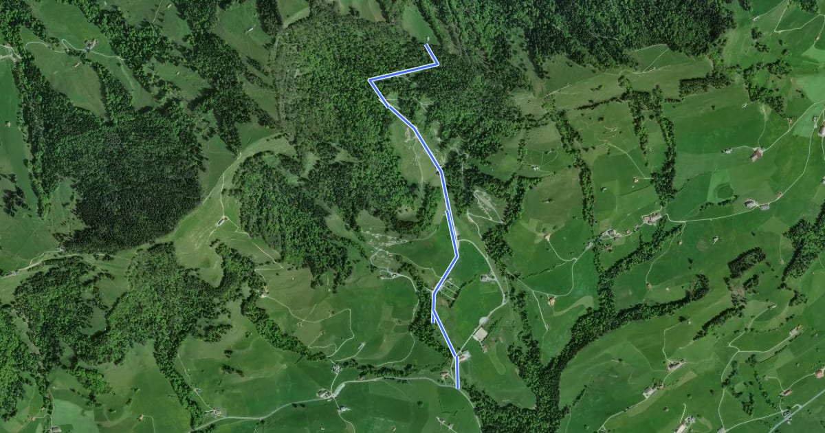 Маршрут Untere Tweralp-Bodenwis на спутниковом снимке