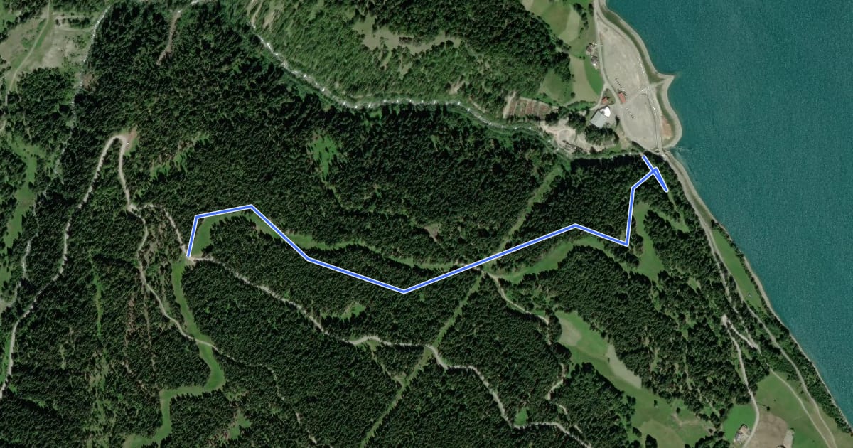 Маршрут Unterer Schöneben Trail на спутниковом снимке