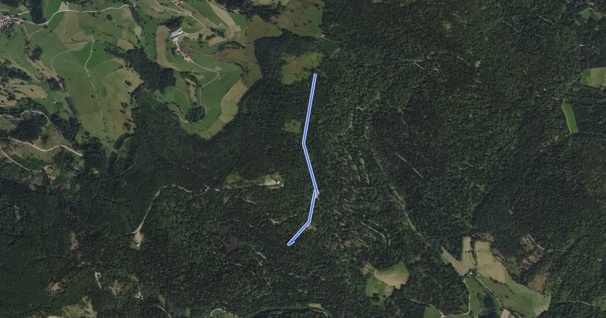 Маршрут Unterm Dietenschwander Kopf - Belchenblick на спутниковом снимке