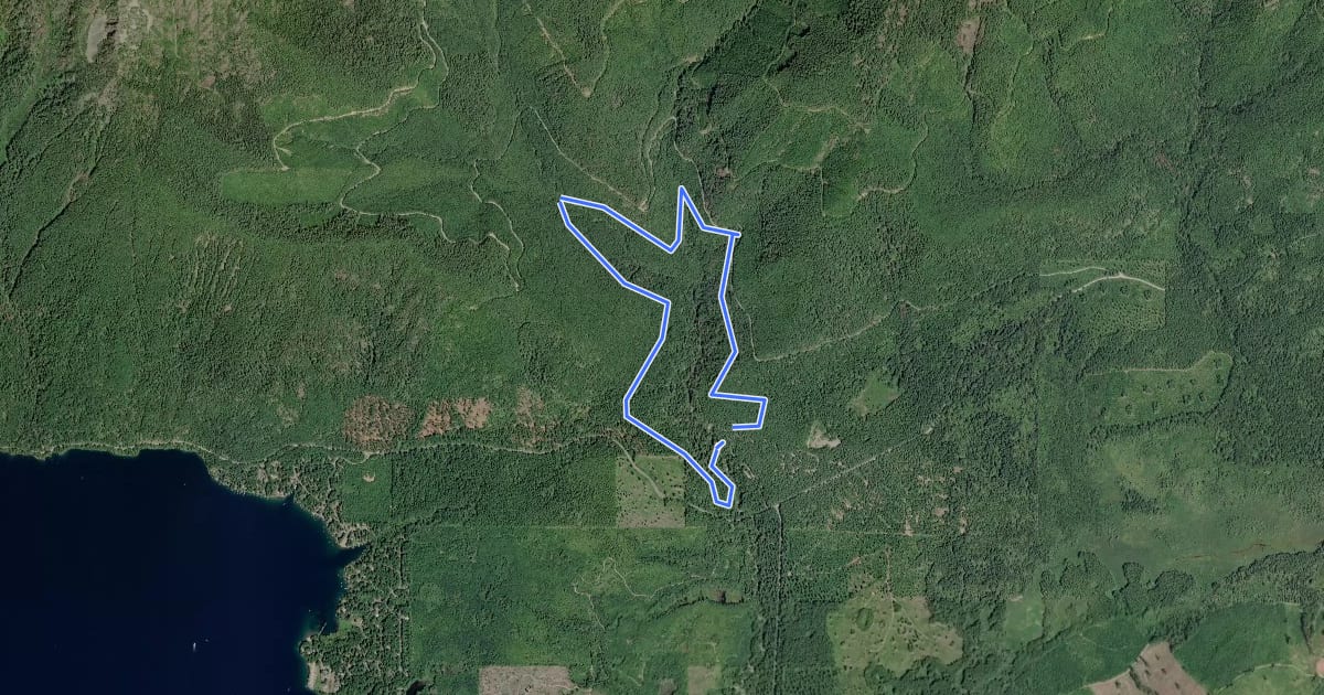 Маршрут Upper Big Creek Loop Trail #827.1 на спутниковом снимке
