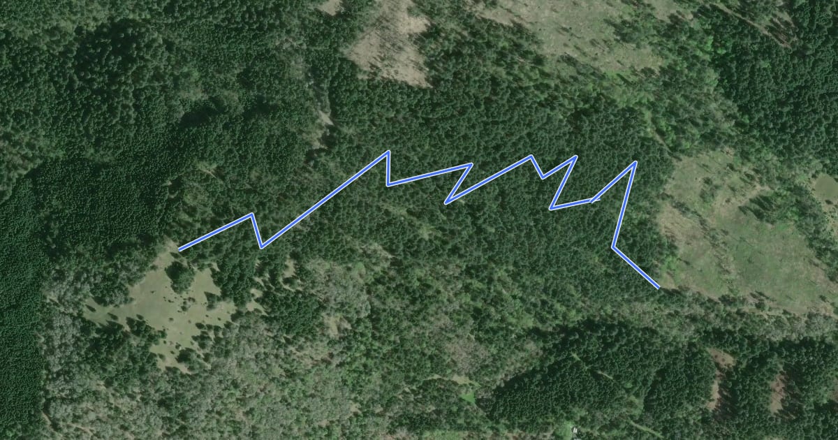 Маршрут Upper Dan's Trail на спутниковом снимке