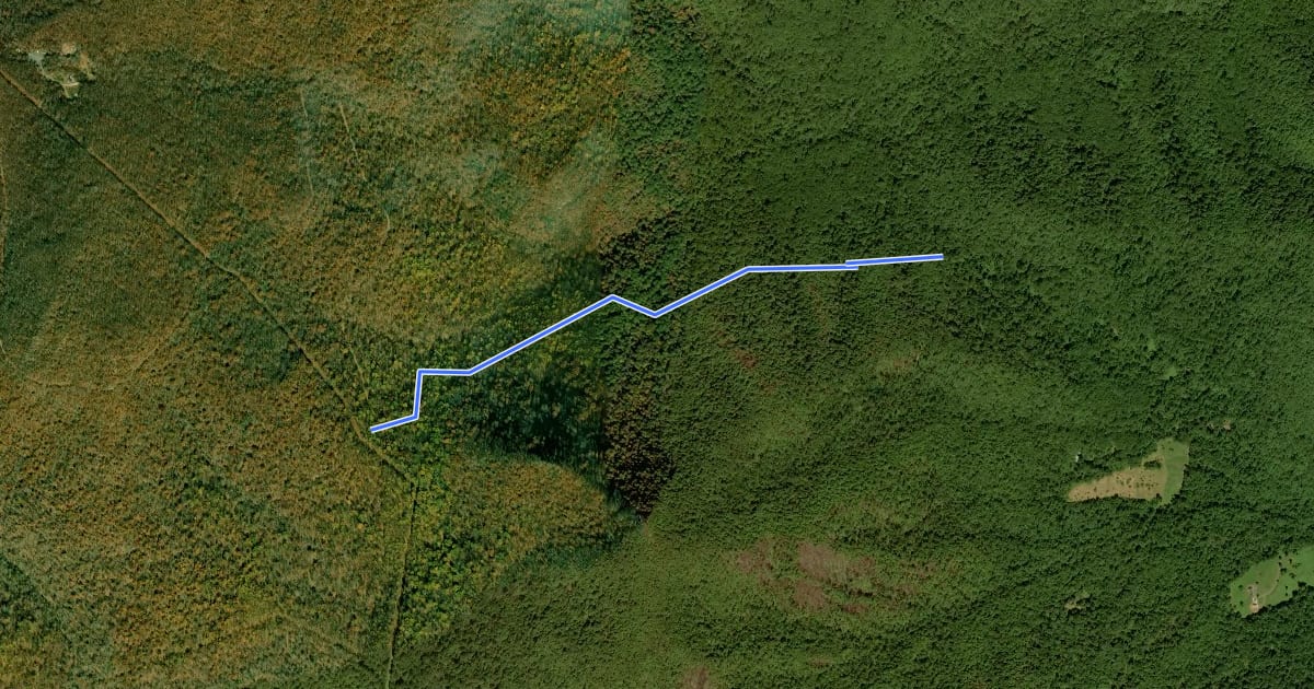 Маршрут Upper Dark Hollow Trail на спутниковом снимке