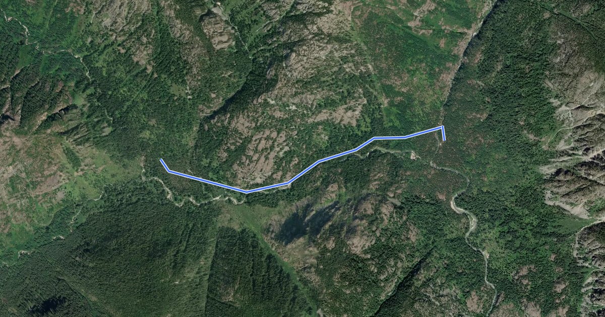 Маршрут Upper Stehekin Valley Trail на спутниковом снимке