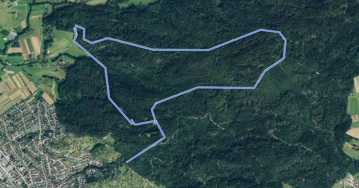 Маршрут Urbacher Wanderweg 12 на спутниковом снимке