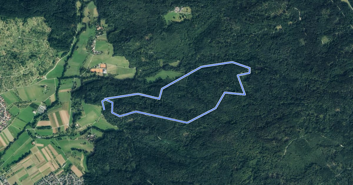 Маршрут Urbacher Wanderweg 13 на спутниковом снимке