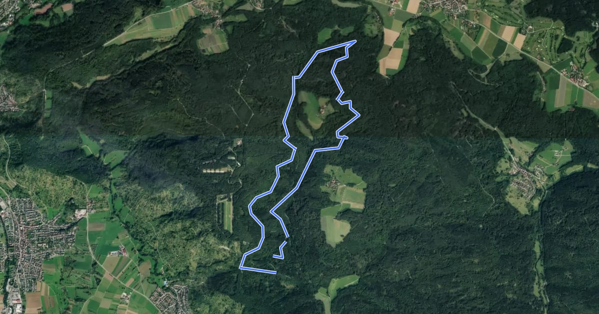 Маршрут Urbacher Wanderweg 6 на спутниковом снимке