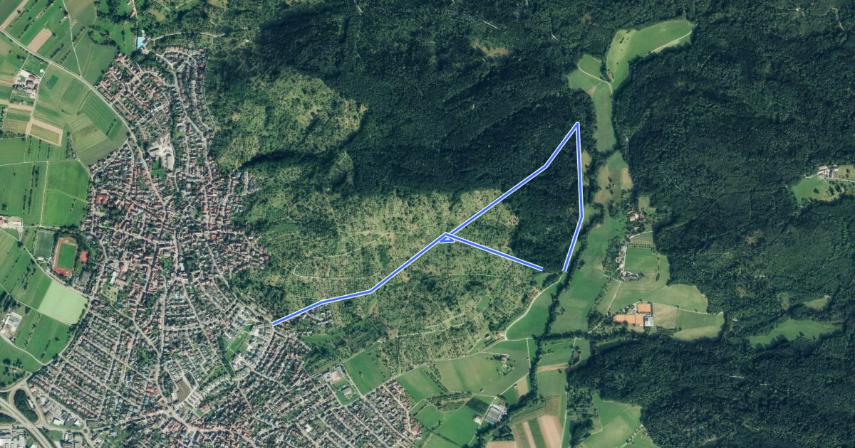 Маршрут Urbacher Wanderweg 8 на спутниковом снимке